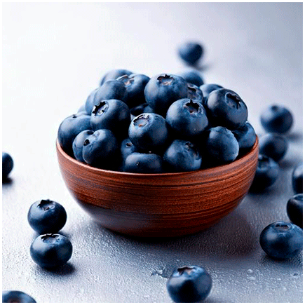Blueberry Natural flavour Powder